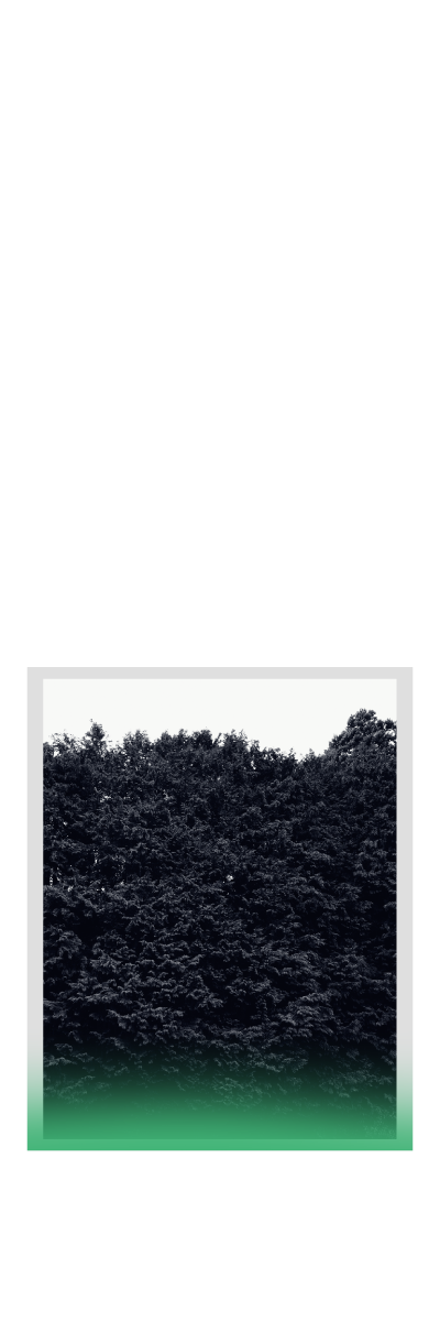 fragrance room mist [sw]